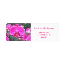 Rosa, orkidéblomma, blomfoto returadress etikett