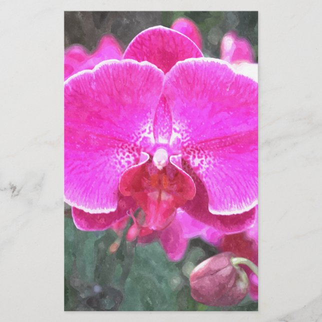 Rosa orkidéblomma, blomfotografering brevpapper (Framsida)