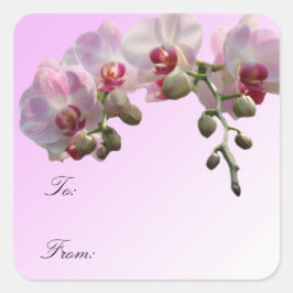 rosa orkidéblommor, julklappsetiketter. fyrkantigt klistermärke