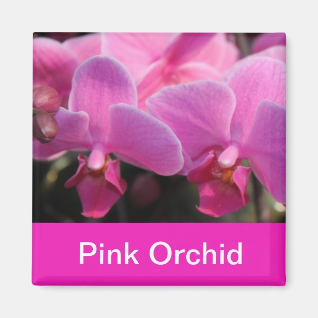 rosa orkidéblommor magnet (Framsidan)