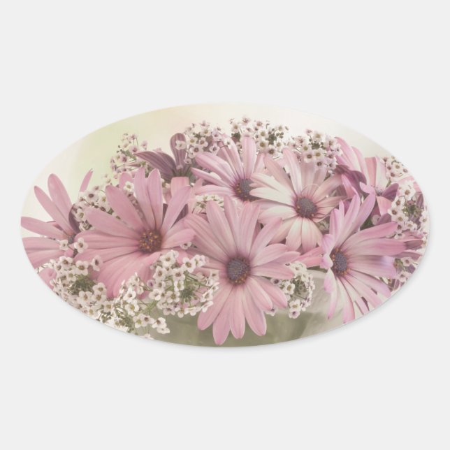 Rosa Osteospernum Ovalt Klistermärke (Framsida)