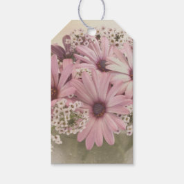 Rosa Osteospernum Presentetikett