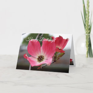 Rosa på födelsedagen Dogwood Kort