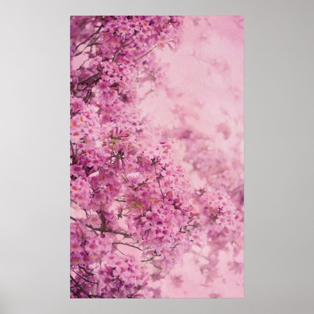 Rosa på Rosa Poster (Framsidan)