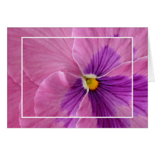 Rosa Pansie Card Hälsningskort