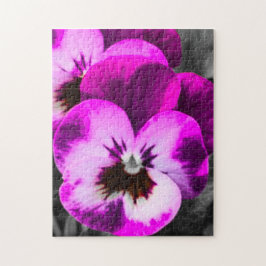 Rosa Pansy Puzzle Pussel