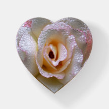 Rosa Paperweight för hemlighet