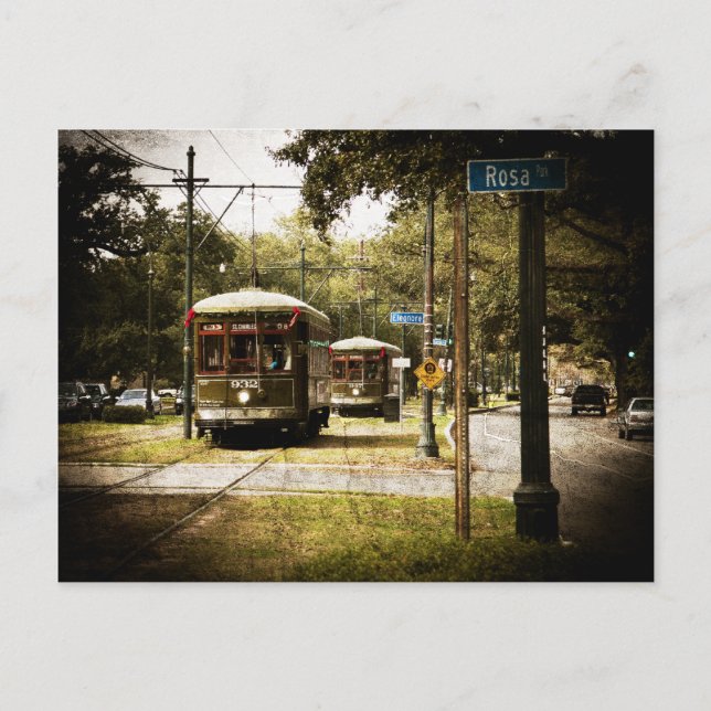 Rosa Park Drive Streetcars Vykort (Framsida)