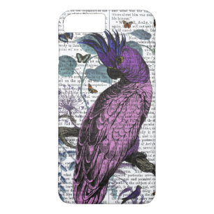 Rosa Parrot