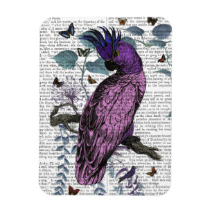 Rosa Parrot Magnet