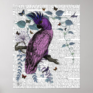 Rosa Parrot Poster