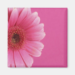 Rosa Passion Magnet
