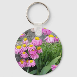 Rosa Pawarded daisy Flowers Natur Fotography Nyckelring