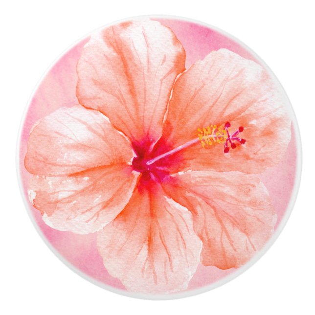 Rosa Peach Hibiscus Flower Knopp (Framsidan)