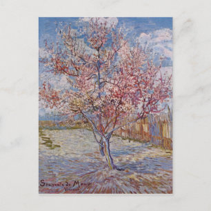 Rosa Peach Träd i Blommar (Mauve återfall) Vykort