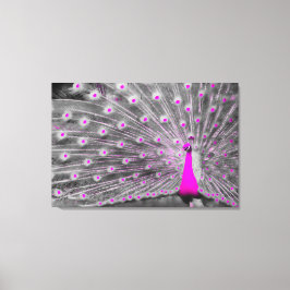 Rosa Peacock Wrapped Canvas