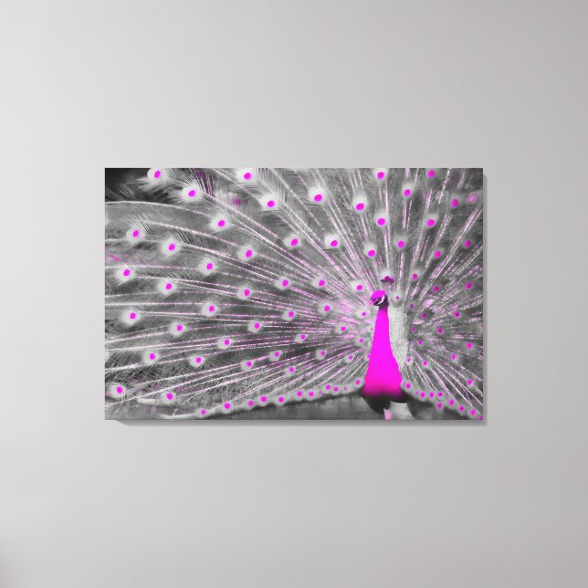 Rosa Peacock Wrapped Canvas (Framsida)