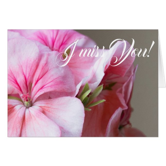 Rosa pelarblomma hälsningskort (Framsidan Horizontal)