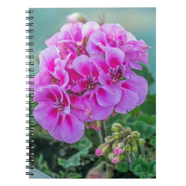 Rosa pelargonanteckningsbok anteckningsbok (Framsidan)