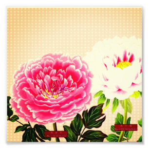 Rosa peonier, vintage blomma fototryck