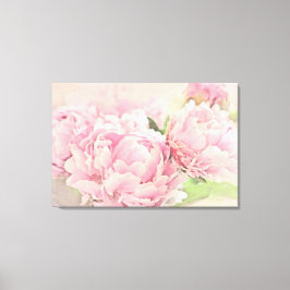 Rosa Peonies Canvastryck