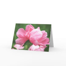 Rosa Peonies Greeting Card