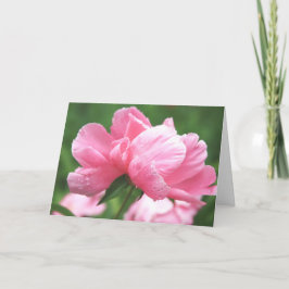 Rosa Peonies Greeting Card Kort