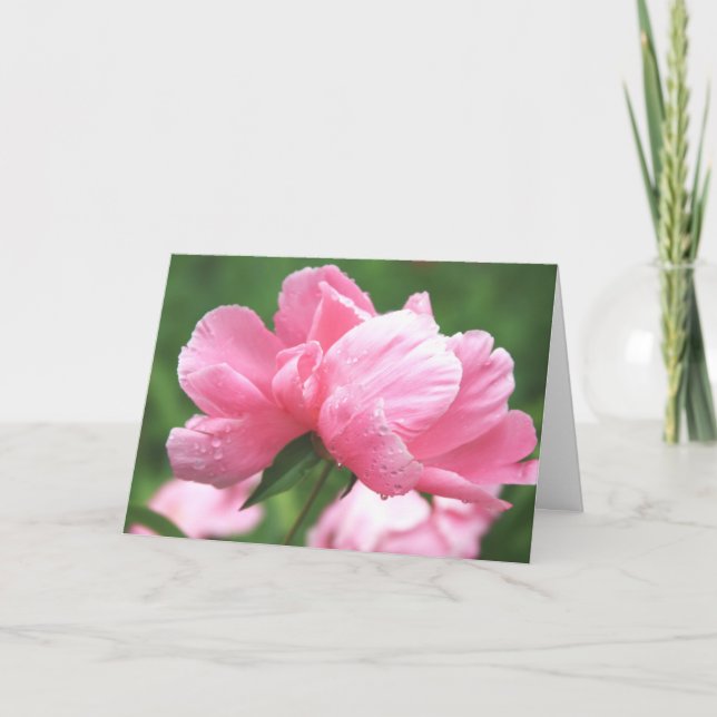 Rosa Peonies Greeting Card Kort (Framsida)