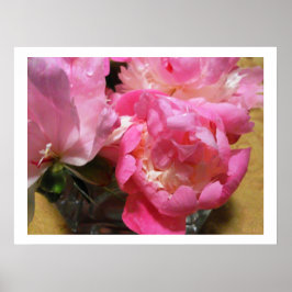 Rosa Peonies i Vas / Peony Flower Poster