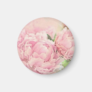 Rosa Peonies Magnet