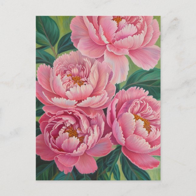 Rosa peonies Pastel Flower Blommigt Vykort (Framsida)
