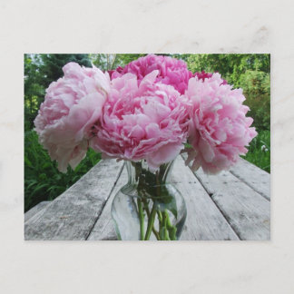 Rosa Peonies/Peony Flowers Arrangemanga i Vas Vykort