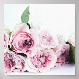 ROSA PEONIES PHOTOGRAPH POSTER