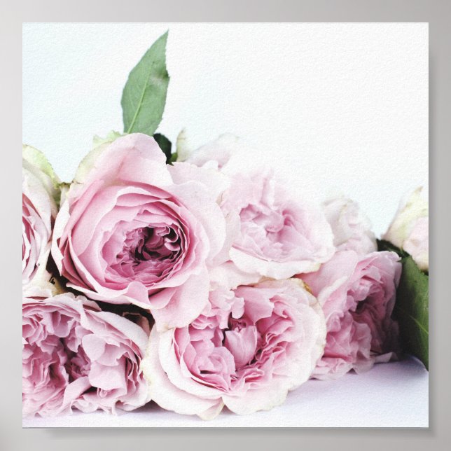 ROSA PEONIES PHOTOGRAPH POSTER (Framsidan)