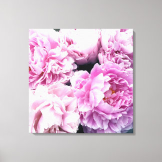 Rosa Peonies Stretched Kanvastryck