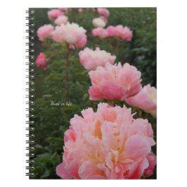 Rosa Peonies vackra rad Anteckningsbok
