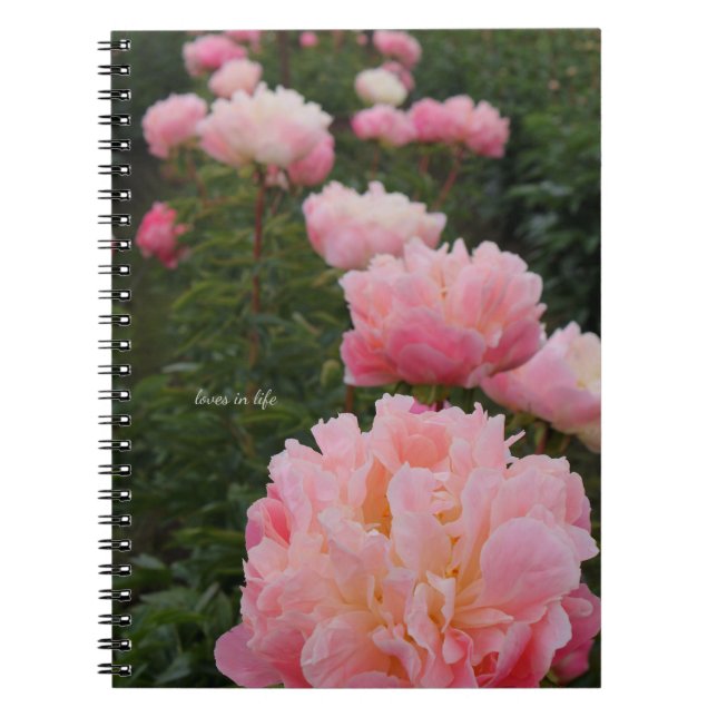 Rosa Peonies vackra rad Anteckningsbok (Framsidan)