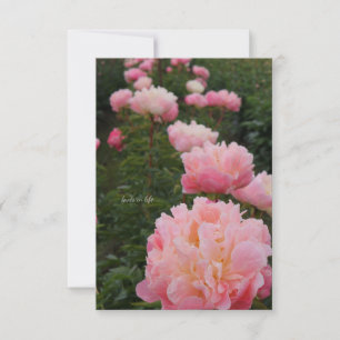Rosa Peonies vackra rad Anteckningskort