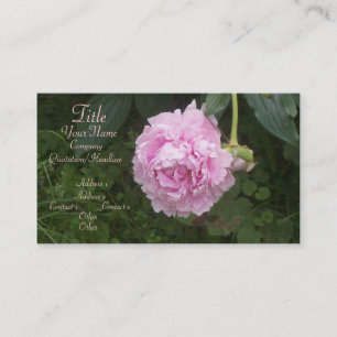 Rosa Peonies Visitkort