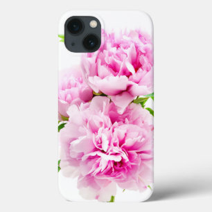 Rosa Peony