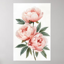 Rosa Peony Akvarell Botanisk Väggkonst