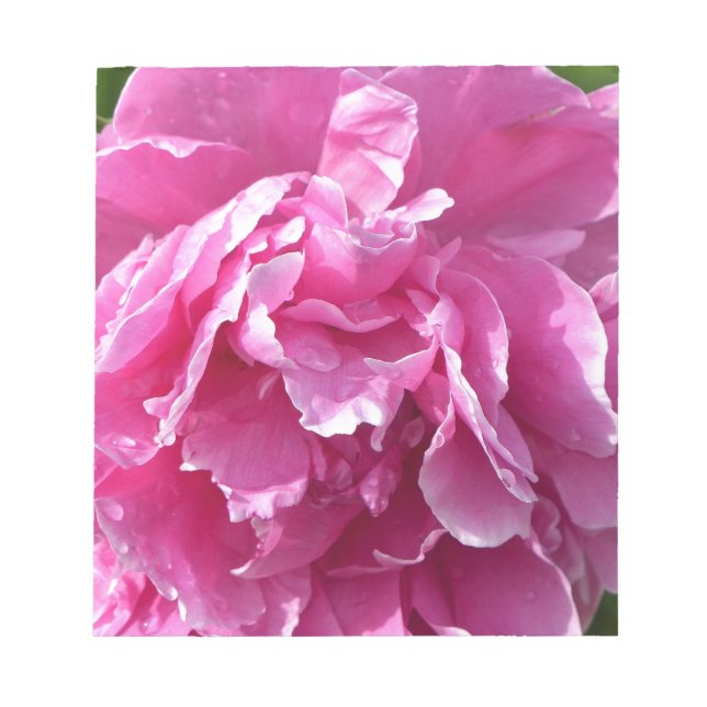 Rosa Peony Anteckningsblock (Framsida)