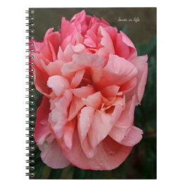 Rosa Peony Anteckningsbok