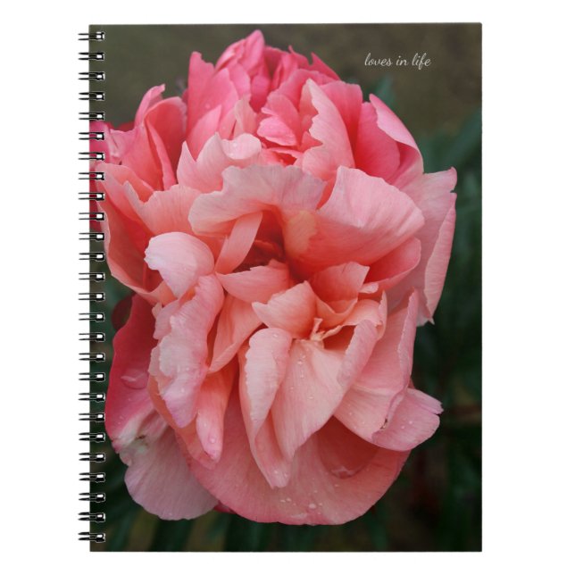 Rosa Peony Anteckningsbok (Framsidan)