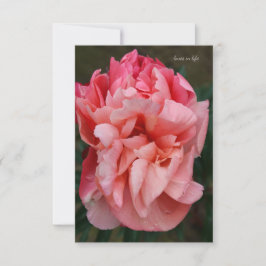 Rosa Peony Anteckningskort