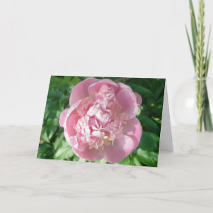Rosa Peony-anteckningskort Helgkort