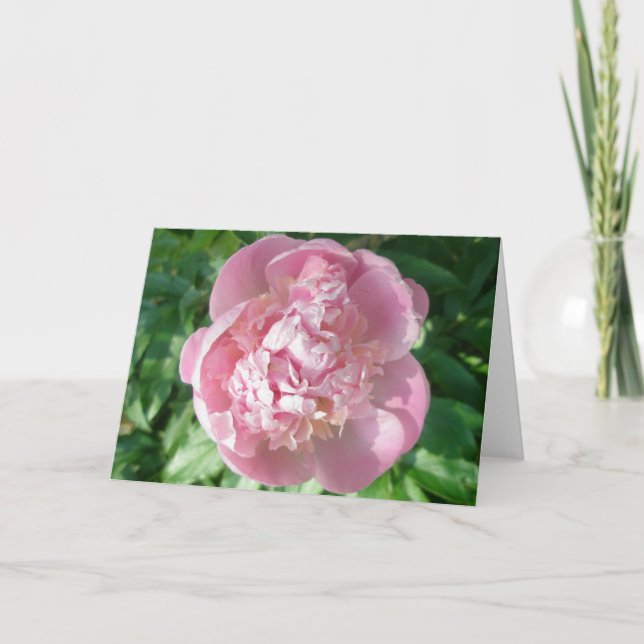 Rosa Peony-anteckningskort Helgkort (Framsida)
