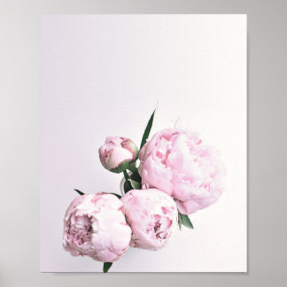 Rosa Peony Art, Ro Print, Flower Art Rosa Poster
