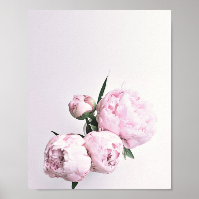 Rosa Peony Art, Ro Print, Flower Art Rosa Poster (Framsidan)
