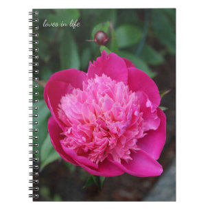 Rosa Peony & Baby Bud Anteckningsbok
